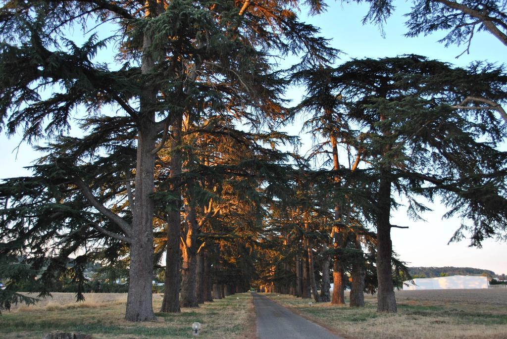 Logis Hotels - Chateau Saint Marcel Boé Buitenkant foto