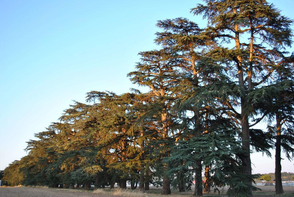 Logis Hotels - Chateau Saint Marcel Boé Buitenkant foto